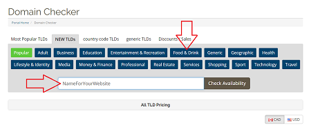 New Generic Top-Level Domains